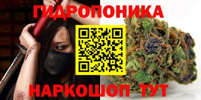 наркотики Гудермес