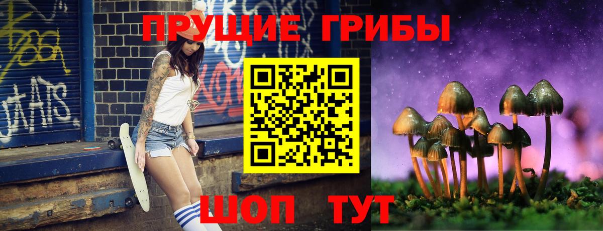 Псилоцибиновые грибы MAGIC MUSHROOMS Мценск